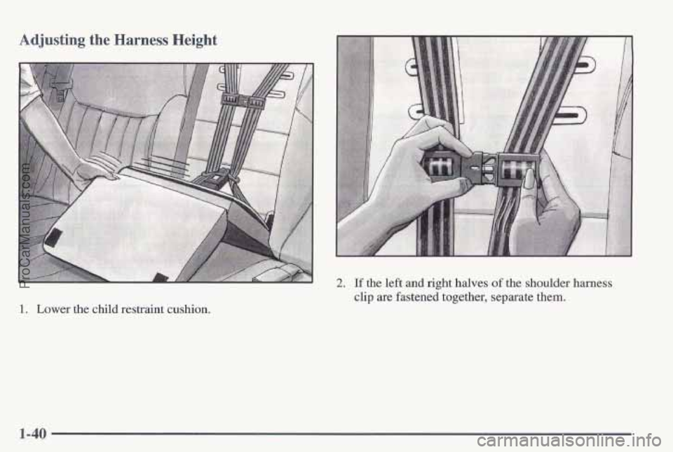 PONTIAC PONTIAC 1997  Owners Manual Adjusting the Harness Height 
1. Lower the child  restraint  cushion. 
2. If the left and right  halves of the shoulder  harness 
clip  are fastened  together,  separate them. 
1-40 
ProCarManuals.com