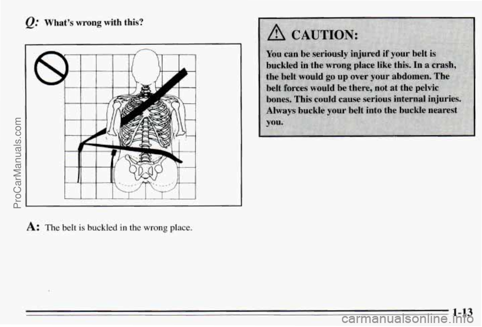 PONTIAC PONTIAC 1995  Owners Manual What’s wrong with  this? 
1-13 
ProCarManuals.com 