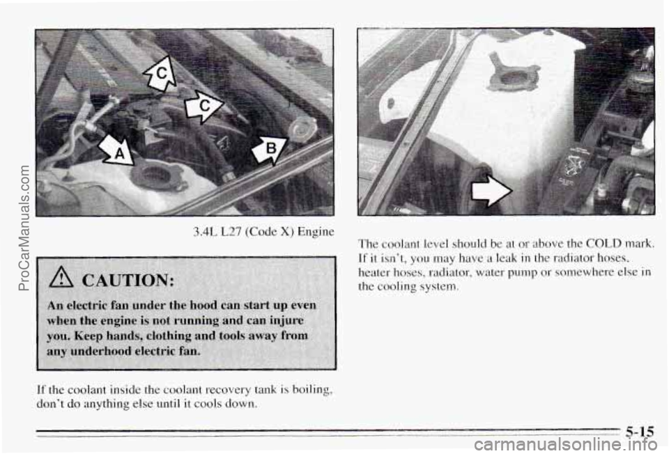 PONTIAC PONTIAC 1995  Owners Manual 3.4L L27 (Code X) Engine The coolant  level should 
be at  or above  the COLD mark. 
If it isnt, you may have  a  leak in the  radiator  hoses, 
heater  hoses,  radiator,  water  pump  or somewhere  