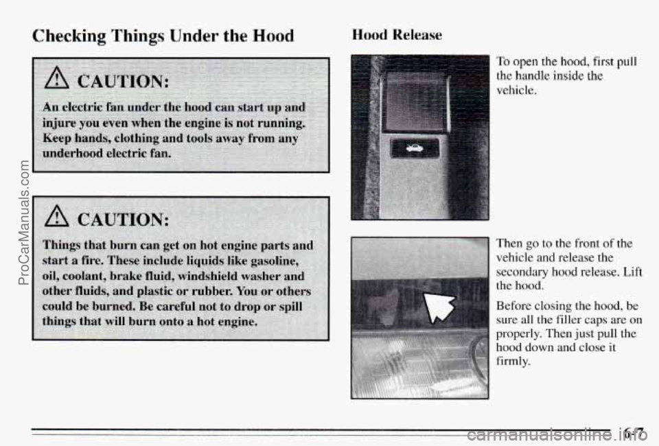 PONTIAC PONTIAC 1995  Owners Manual Checking Things Under  the Hood Hood Release 
To open the hood, first pull 
the handle inside the 
vehicle. 
Then 
go to  the front of the 
vehicle  and  release 
the 
secondary  hood  release. Lift 
