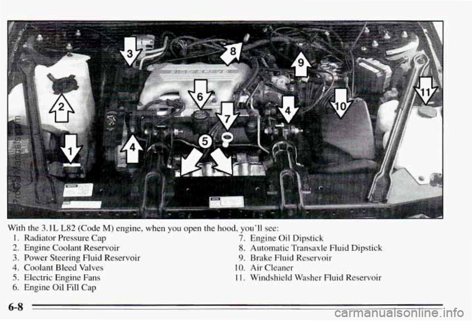 PONTIAC PONTIAC 1995  Owners Manual I 
a3 
7 
With  the 3.1 L L82 (Code M) engine,  when  you  open  the  hood, you’ll see: 
1. Radiator  Pressure  Cap 7. Engine Oil Dipstick 
2. Engine  Coolant  Reservoir 8. Automatic  Transaxle  Flu