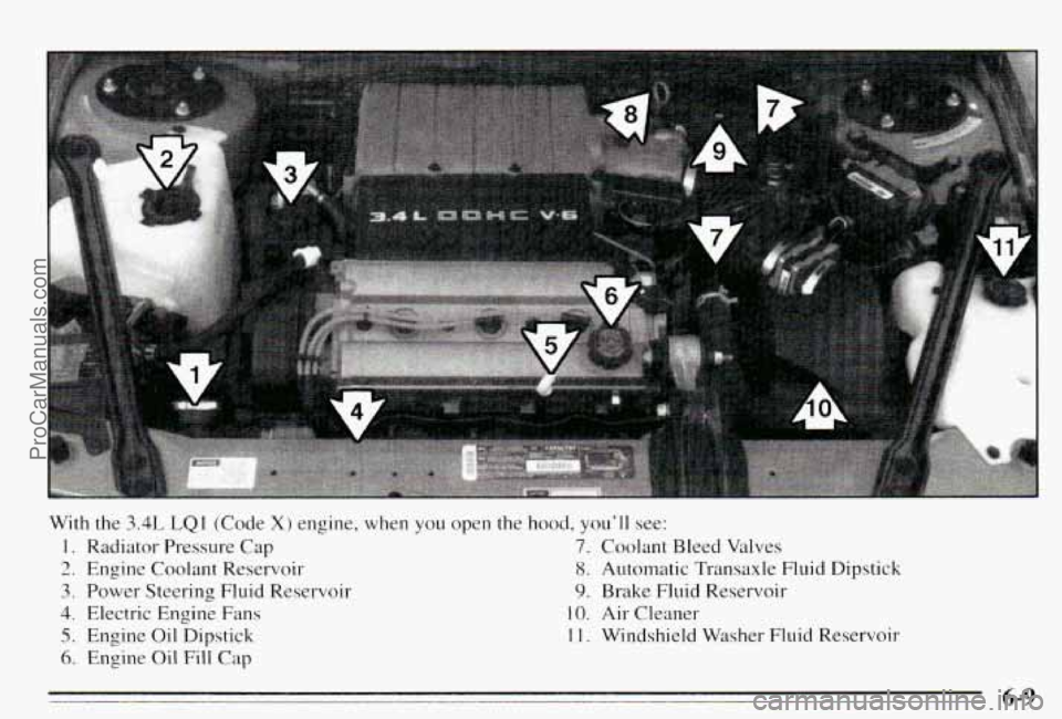 PONTIAC PONTIAC 1995  Owners Manual 4 L, 
With  the 3.4L LQI (Code X) engine,  when  you  open  the  hood, youll  see: 
1. Radiator  Pressure Cap 7. Coolant  Bleed  Valves 
2. Engine  Coolant  Reservoir 8. Automatic  Transaxle  Fluid 