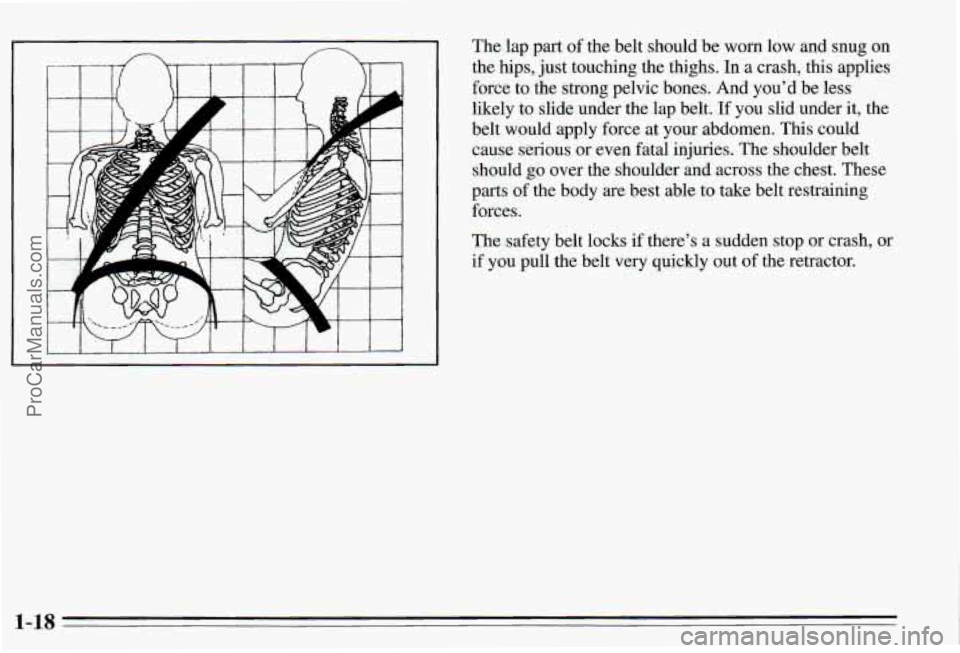 PONTIAC PONTIAC 1995  Owners Manual , .A 
The lap part of the belt  should  be  worn  low  and  snug  on 
the  hips,  just touching  the  thighs. 
In a crash, this applies 
force 
to the strong pelvic  bones.  And  youd be less 
likely