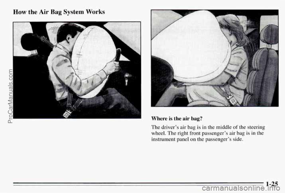 PONTIAC PONTIAC 1995  Owners Manual How the Air Bag System Works 
Where is the air bag? 
The driver’s air  bag is in the  middle of the  steering 
wheel.  The right  front  passenger’s  air bag  is 
in the 
instrument  panel  on  th