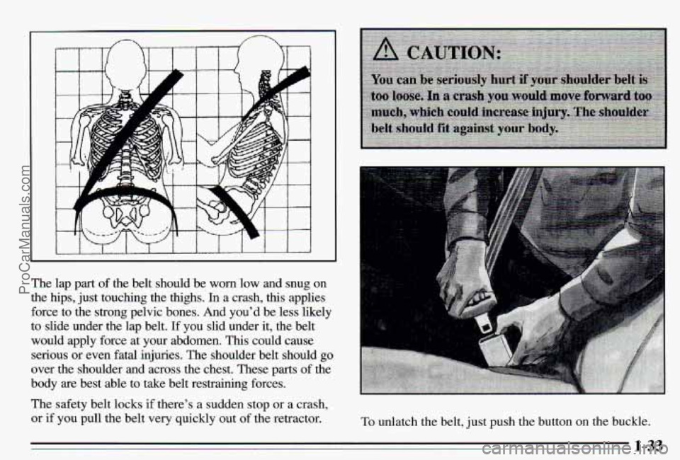 PONTIAC PONTIAC 1995  Owners Manual The lap part of the  belt  should  be  worn low and  snug  on 
the  hips,  just touching  the  thighs.  In  a crash,  this  applies 
force  to the  strong  pelvic  bones.  And  youd be less  likely 

