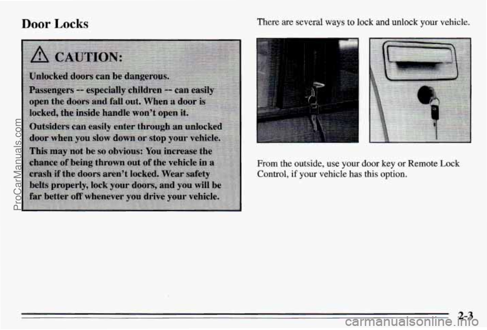 PONTIAC PONTIAC 1995  Owners Manual Door Locks There are several ways to lock and unlock your vehicle. 
From the outside,  use  your door key or Remote Lock 
Control, if your  vehicle has this  option. 
2-3 
ProCarManuals.com 