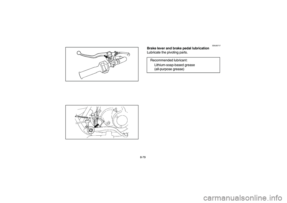YAMAHA BRUIN 250 2006  Manuale de Empleo (in Spanish) 8-79
EBU00717
Brake lever and brake pedal lubrication
Lubricate the pivoting parts.
Recommended lubricant:
Lithium-soap-based grease 
(all-purpose grease)
EE.book  Page 79  Friday, May 27, 2005  5:00 
