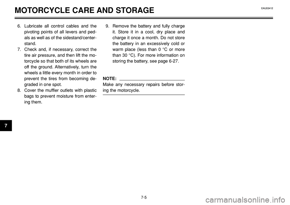 YAMAHA BT1100 2002  Owners Manual MOTORCYCLE CARE AND STORAGE
6. Lubricate all control cables and the
pivoting points of all levers and ped-
als as well as of the sidestand/center-
stand.
7. Check and, if necessary, correct the
tire a