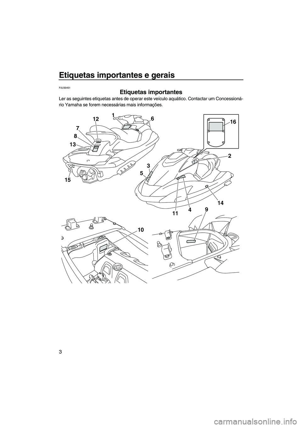 YAMAHA FX HO CRUISER 2009  Manual de utilização (in Portuguese) Etiquetas importantes e gerais
3
PJU30451
Etiquetas importantes 
Ler as seguintes etiquetas antes de operar este veículo aquático. Contactar um Concessioná-
rio Yamaha se forem necessárias mais in