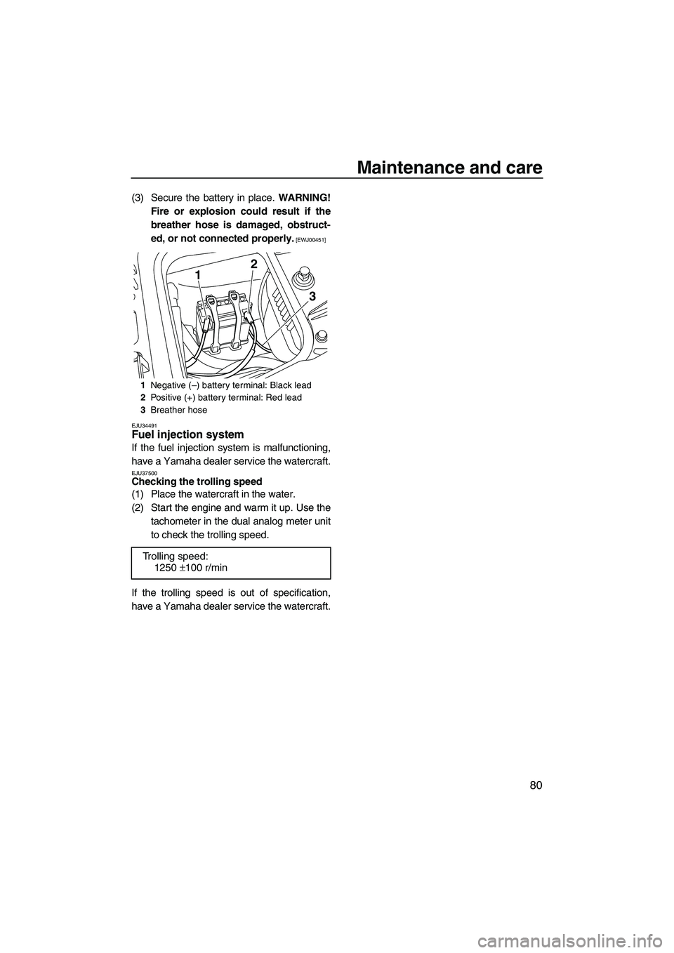 YAMAHA FZS 2009  Owners Manual Maintenance and care
80
(3) Secure the battery in place. WARNING!
Fire or explosion could result if the
breather hose is damaged, obstruct-
ed, or not connected properly.
 [EWJ00451]
EJU34491
Fuel inj