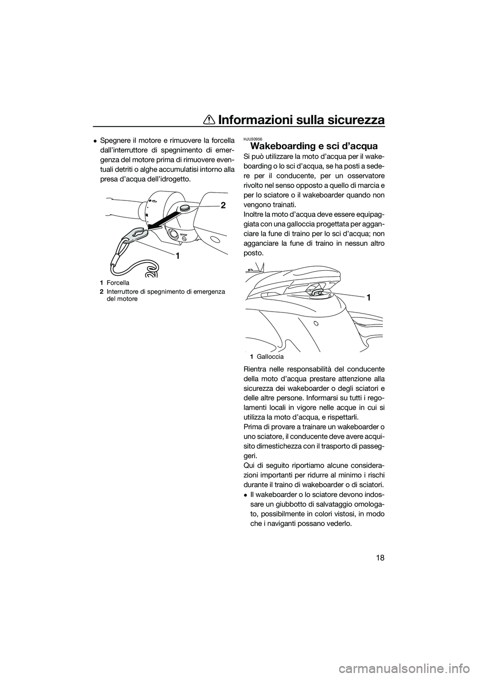 YAMAHA FZS SVHO 2015  Manuale duso (in Italian) Informazioni sulla sicurezza
18
Spegnere il motore e rimuovere la forcella
dall’interruttore di spegnimento di emer-
genza del motore prima di rimuovere even-
tuali detriti o alghe accumulatisi i