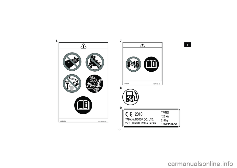 YAMAHA GRIZZLY 250 2011  Owners Manual 1-3
1
1P0-F816L-20
1P0-F816R-00
YAMAHA MOTOR CO., LTD.
2500 SHINGAI, IWATA, JAPANYFM250
12.2 kW
216 kg
2010
1P0-F155A-30
67
8
9
U1P066E0.book  Page 3  Thursday, August 5, 2010  4:15 PM 