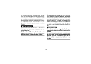 Page 251