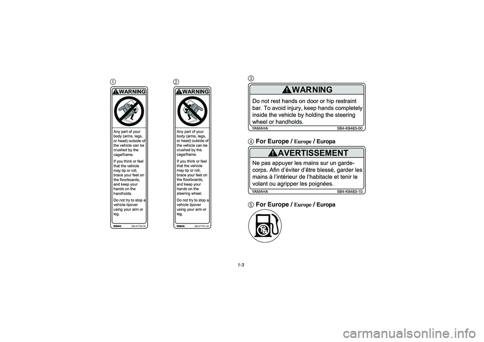 YAMAHA RHINO 700 2009  Manuale de Empleo (in Spanish) 1-3
123
4For Europe / 
Europe
 / Europa
5For Europe / 
Europe
 / Europa
Any part of your
body (arms, legs,
or head) outside of
the vehicle can be
crushed by the
cage/frame.
If you think or feel
that t