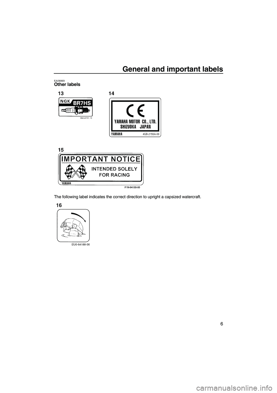 YAMAHA SUPERJET 2009  Owners Manual General and important labels
6
EJU35923Other labels 
The following label indicates the correct direction to upright a capsized watercraft.
UF2F71E0.book  Page 6  Thursday, April 10, 2008  11:47 AM 