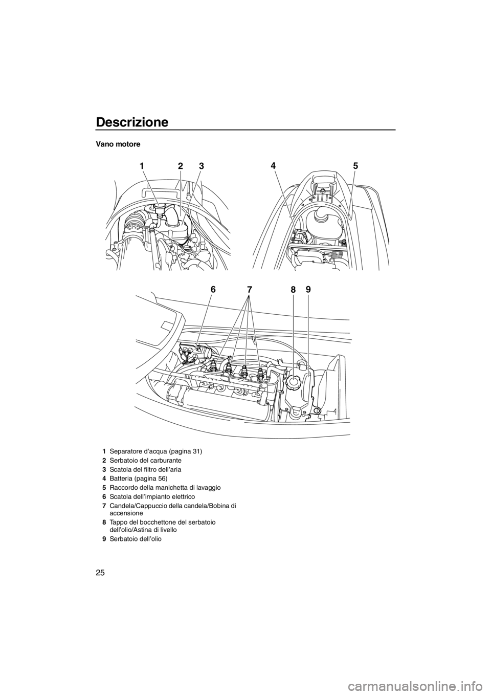 YAMAHA VX 2013  Manuale duso (in Italian) Descrizione
25
Vano motore
6
789
12
345
1Separatore d’acqua (pagina 31)
2Serbatoio del carburante
3Scatola del filtro dell’aria
4Batteria (pagina 56)
5Raccordo della manichetta di lavaggio
6Scatol
