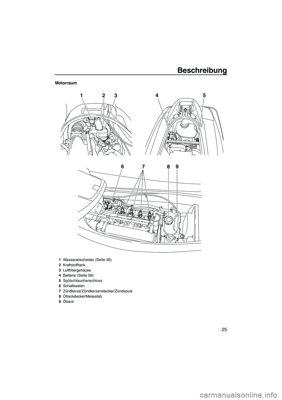 YAMAHA VX DELUXE 2010  Betriebsanleitungen (in German) Beschreibung
25
Motorraum
6
789
12
345
1Wasserabscheider (Seite 30)
2Kraftstofftank
3Luftfiltergehäuse
4Batterie (Seite 56)
5Spülschlauchanschluss
6Schaltkasten
7Zündkerze/Zündkerzenstecker/Zünds