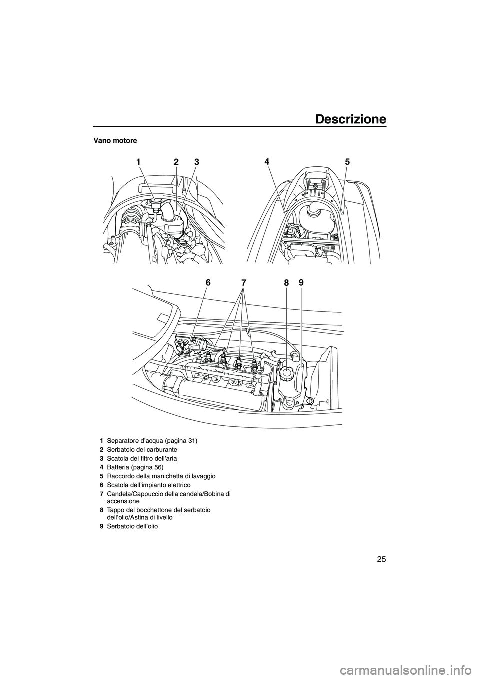 YAMAHA VX 2010  Manuale duso (in Italian) Descrizione
25
Vano motore
6
789
12
345
1Separatore d’acqua (pagina 31)
2Serbatoio del carburante
3Scatola del filtro dell’aria
4Batteria (pagina 56)
5Raccordo della manichetta di lavaggio
6Scatol