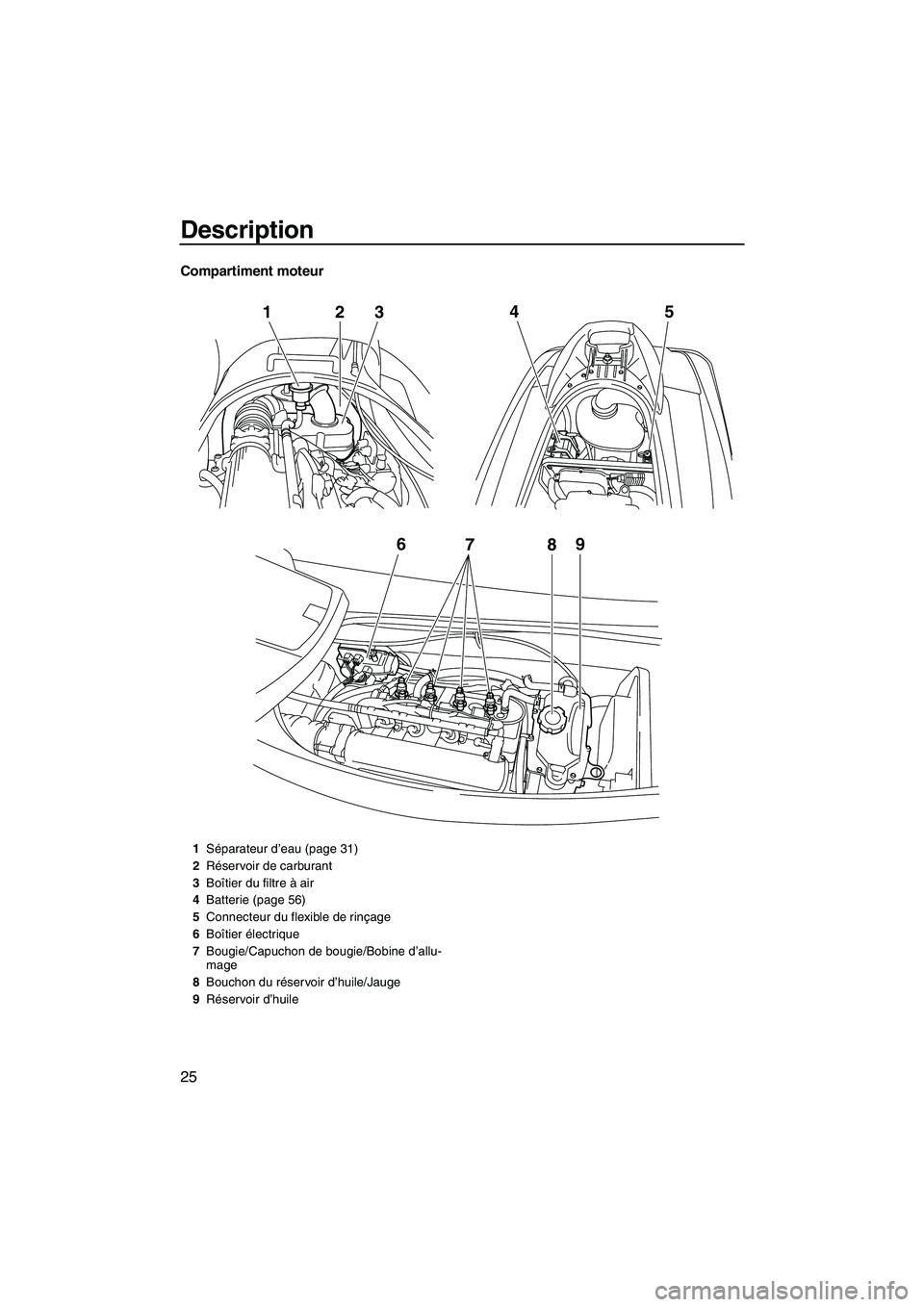 YAMAHA VX DELUXE 2013  Notices Demploi (in French) Description
25
Compartiment moteur
678 9
12
345
1Séparateur d’eau (page 31)
2 Réservoir de carburant
3 Boîtier du filtre à air
4 Batterie (page 56)
5 Connecteur du flexible de rinçage
6 Boîtie