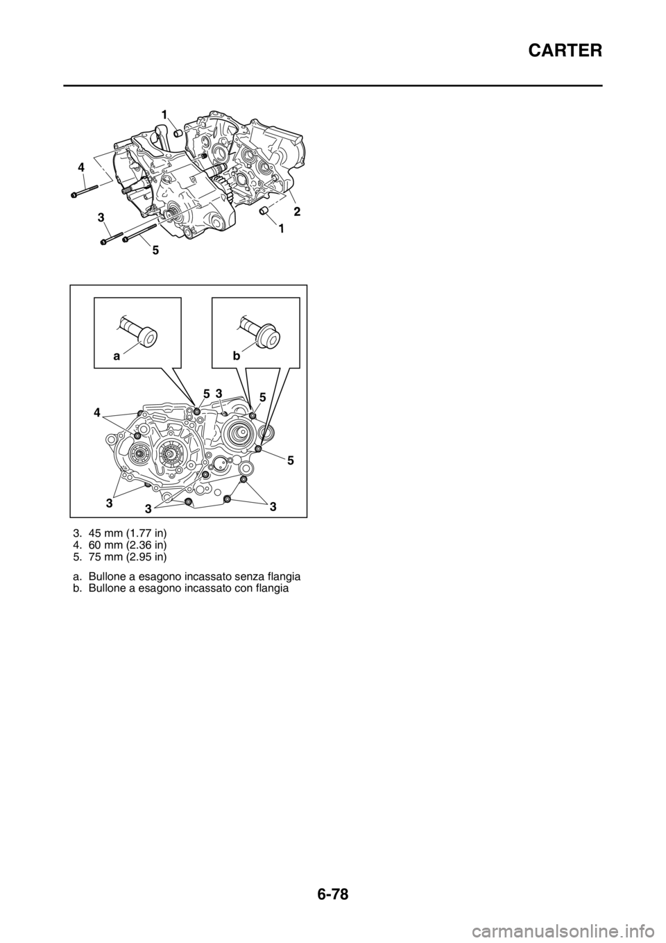 YAMAHA WR 250F 2016  Manuale duso (in Italian) CARTER
6-78
3. 45 mm (1.77 in)
4. 60 mm (2.36 in)
5. 75 mm (2.95 in)
a. Bullone a esagono incassato senza flangia
b. Bullone a esagono incassato con flangia
4
5
3
43
335 5 5
3
ab1
1
2 