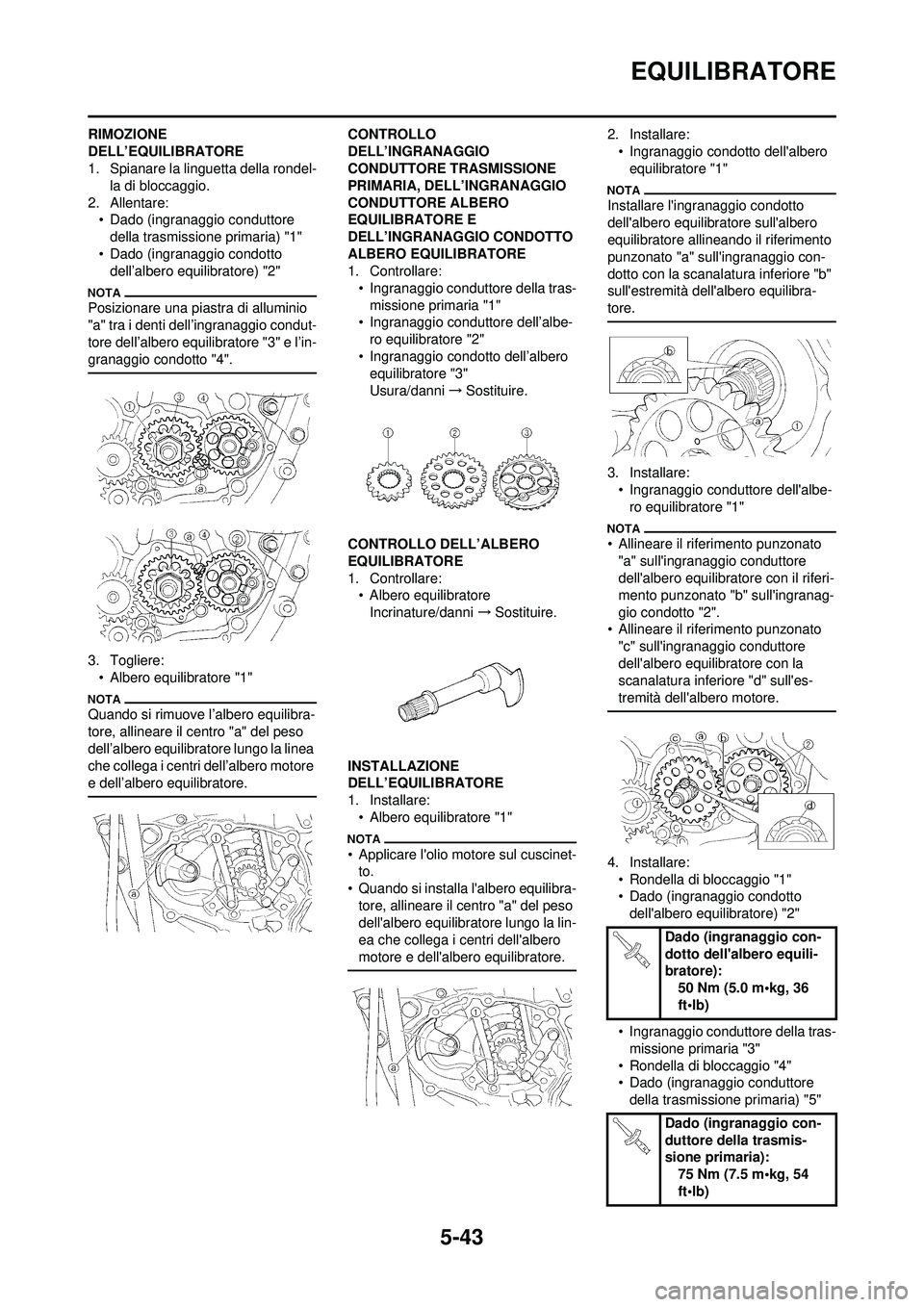 YAMAHA WR 250F 2010  Manuale duso (in Italian) 5-43
EQUILIBRATORE
RIMOZIONE 
DELL’EQUILIBRATORE
1. Spianare la linguetta della rondel-la di bloccaggio.
2. Allentare: • Dado (ingranaggio conduttore della trasmissione primaria) "1"
• Dado (ing