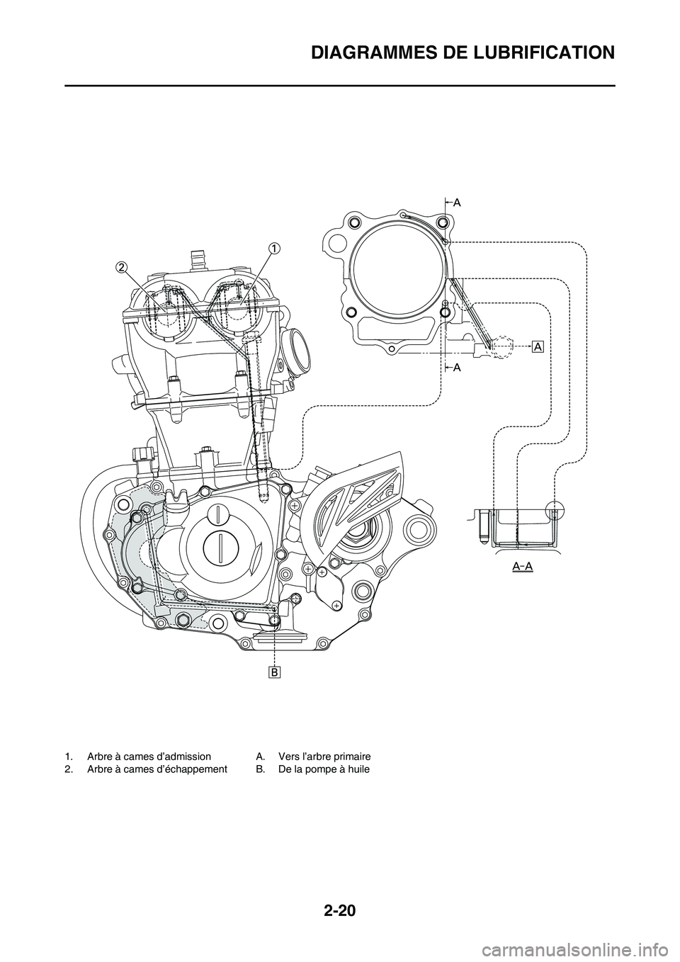 YAMAHA WR 450F 2011  Notices Demploi (in French) 2-20
DIAGRAMMES DE LUBRIFICATION
1. Arbre à cames d’admission
2. Arbre à cames d’échappementA. Vers l’arbre primaire
B. De la pompe à huile 