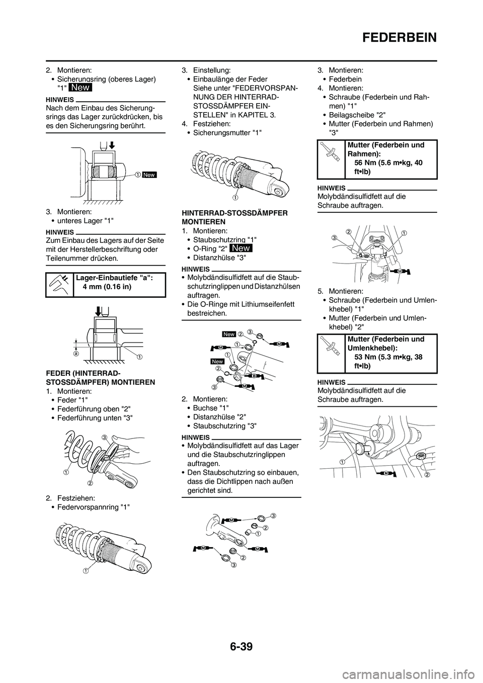 YAMAHA WR 450F 2009  Betriebsanleitungen (in German) 6-39
FEDERBEIN
2. Montieren:
• Sicherungsring (oberes Lager) 
"1" 
Nach dem Einbau des Sicherung-
srings das Lager zurückdrücken, bis 
es den Sicherungsring berührt.
3. Montieren:
• unteres Lag