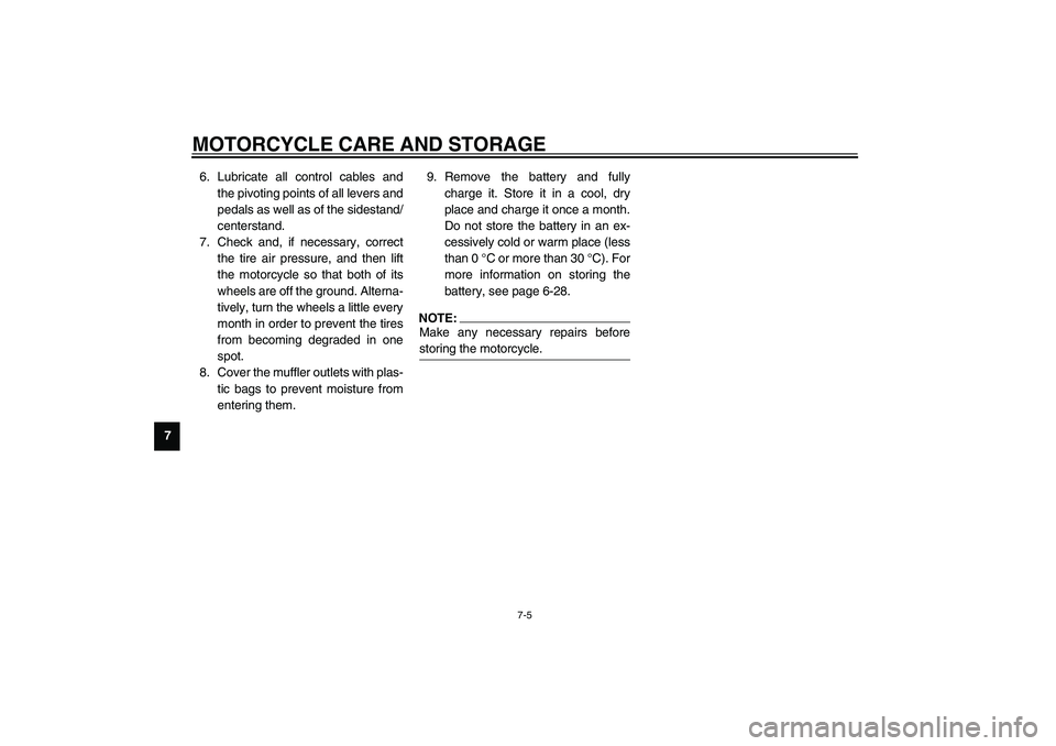 YAMAHA XJR 1300 2003  Owners Manual MOTORCYCLE CARE AND STORAGE
7-5
76. Lubricate all control cables and
the pivoting points of all levers and
pedals as well as of the sidestand/
centerstand.
7. Check and, if necessary, correct
the tire