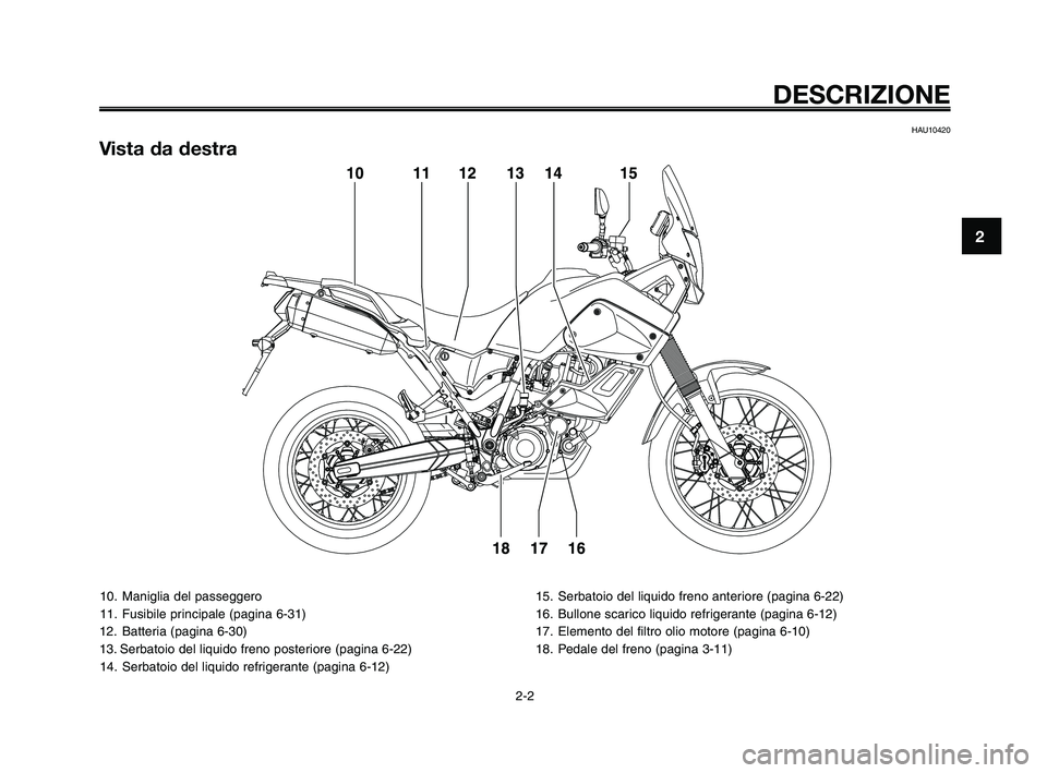 YAMAHA XT660Z 2010  Manuale duso (in Italian) 10. Maniglia del passeggero
11. Fusibile principale (pagina 6-31)
12. Batteria (pagina 6-30)
13. Serbatoio del liquido freno posteriore (pagina 6-22)
14. Serbatoio del liquido refrigerante (pagina 6-1