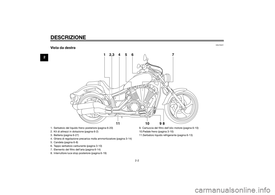 YAMAHA XVS1300CU 2014  Manuale duso (in Italian) DESCRIZIONE
2-2
2
HAU10421
Vista da  destra
2,3
4
6
7
5
1
11
9
10
8
1. Serbatoio del liquido freno posteriore (pagina 6-20)
2. Kit di attrezzi in dotazione (pagina 6-2)
3. Batteria (pagina 6-27)
4. Gh