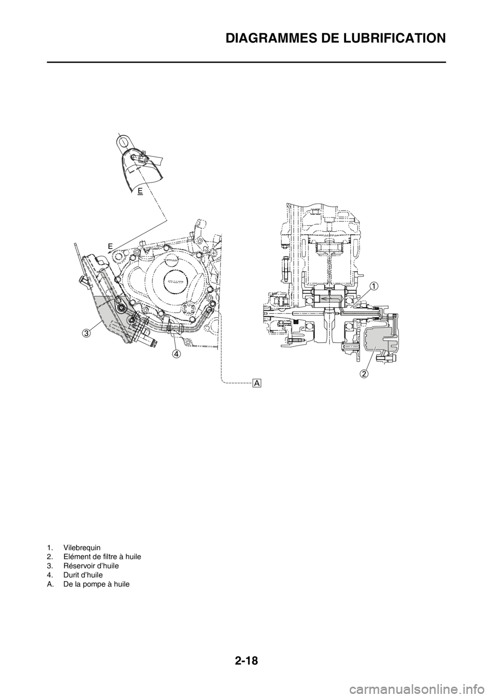 YAMAHA YZ250F 2012  Notices Demploi (in French) 2-18
DIAGRAMMES DE LUBRIFICATION
1. Vilebrequin
2. Elément de filtre à huile
3. Réservoir d’huile
4. Durit d’huile
A. De la pompe à huile 