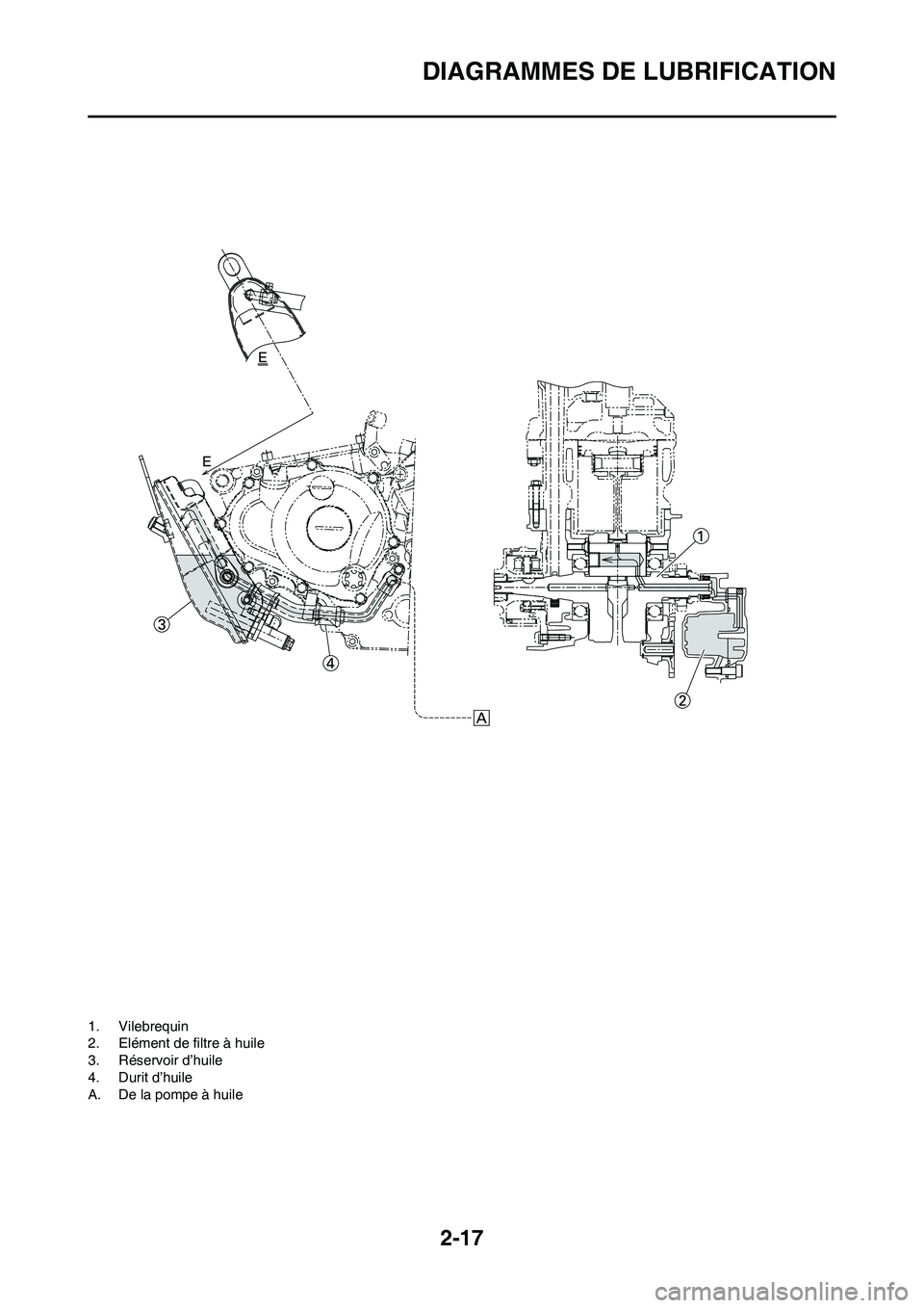 YAMAHA YZ250F 2011  Notices Demploi (in French) 2-17
DIAGRAMMES DE LUBRIFICATION
1. Vilebrequin
2. Elément de filtre à huile
3. Réservoir d’huile
4. Durit d’huile
A. De la pompe à huile 