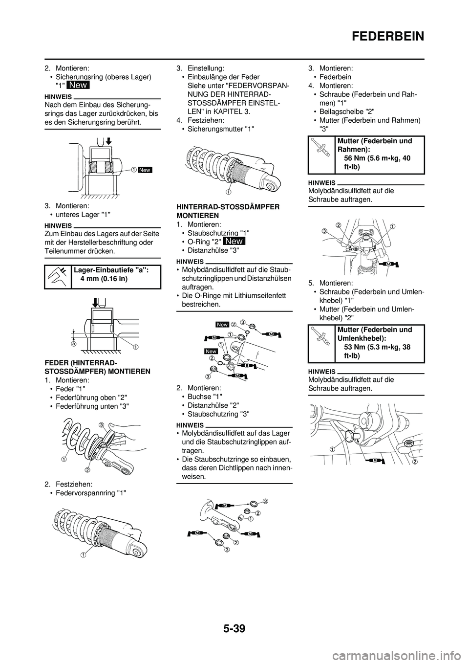 YAMAHA YZ250F 2010 Betriebsanleitungen (in German) 5-39
FEDERBEIN
2. Montieren:• Sicherungsring (oberes Lager) "1"
Nach dem Einbau des Sicherung-
srings das Lager zurückdrücken, bis
es den Sicherungsring berührt.
3. Montieren:• unteres Lager YAMAHA YZ250F 2010 Betriebsanleitungen (in German) 5-39
FEDERBEIN
2. Montieren:• Sicherungsring (oberes Lager) "1"
Nach dem Einbau des Sicherung-
srings das Lager zurückdrücken, bis
es den Sicherungsring berührt.
3. Montieren:• unteres Lager