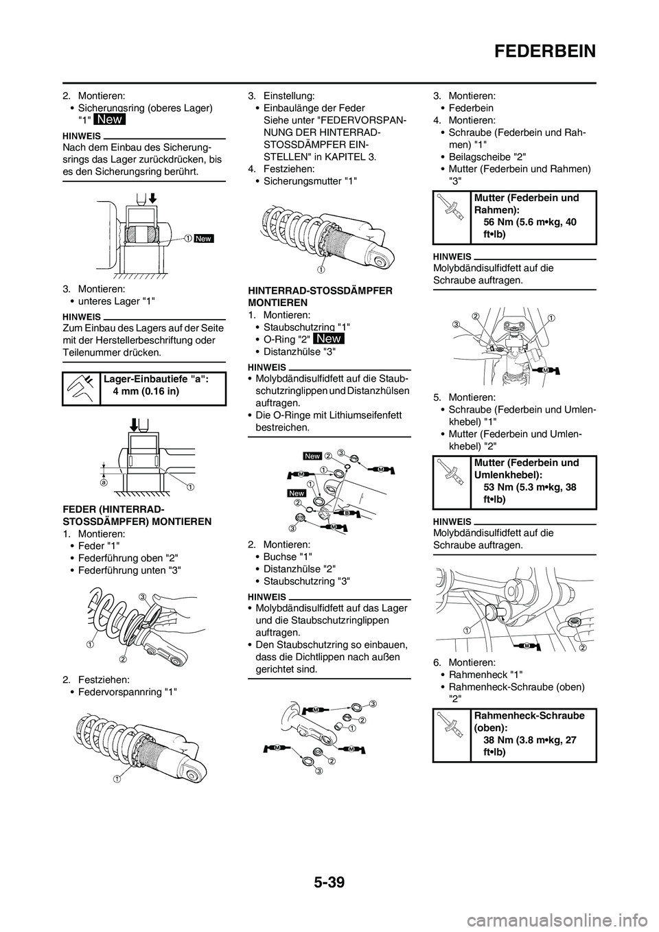 YAMAHA YZ250F 2009  Betriebsanleitungen (in German) 5-39
FEDERBEIN
2. Montieren:
• Sicherungsring (oberes Lager) 
"1" 
Nach dem Einbau des Sicherung-
srings das Lager zurückdrücken, bis 
es den Sicherungsring berührt.
3. Montieren:
• unteres Lag