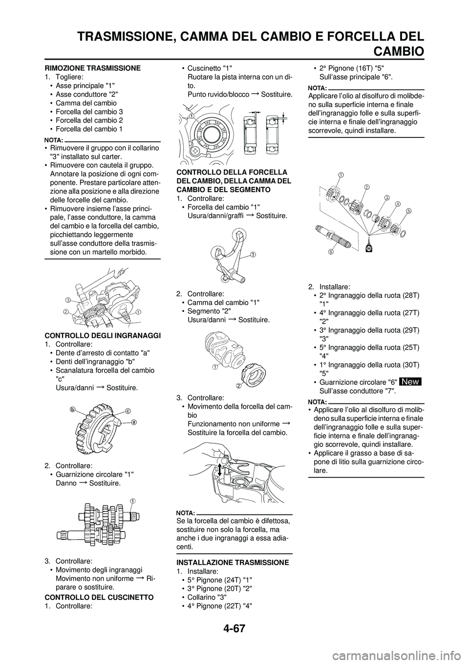 YAMAHA YZ250F 2008 Manuale duso (in Italian) 4-67
TRASMISSIONE, CAMMA DEL CAMBIO E FORCELLA DELCAMBIO
RIMOZIONE TRASMISSIONE
1. Togliere:
• Asse principale "1"
• Asse conduttore "2"
• Camma del cambio
• Forcella del cambio 3
• Forcella YAMAHA YZ250F 2008 Manuale duso (in Italian) 4-67
TRASMISSIONE, CAMMA DEL CAMBIO E FORCELLA DELCAMBIO
RIMOZIONE TRASMISSIONE
1. Togliere:
• Asse principale "1"
• Asse conduttore "2"
• Camma del cambio
• Forcella del cambio 3
• Forcella