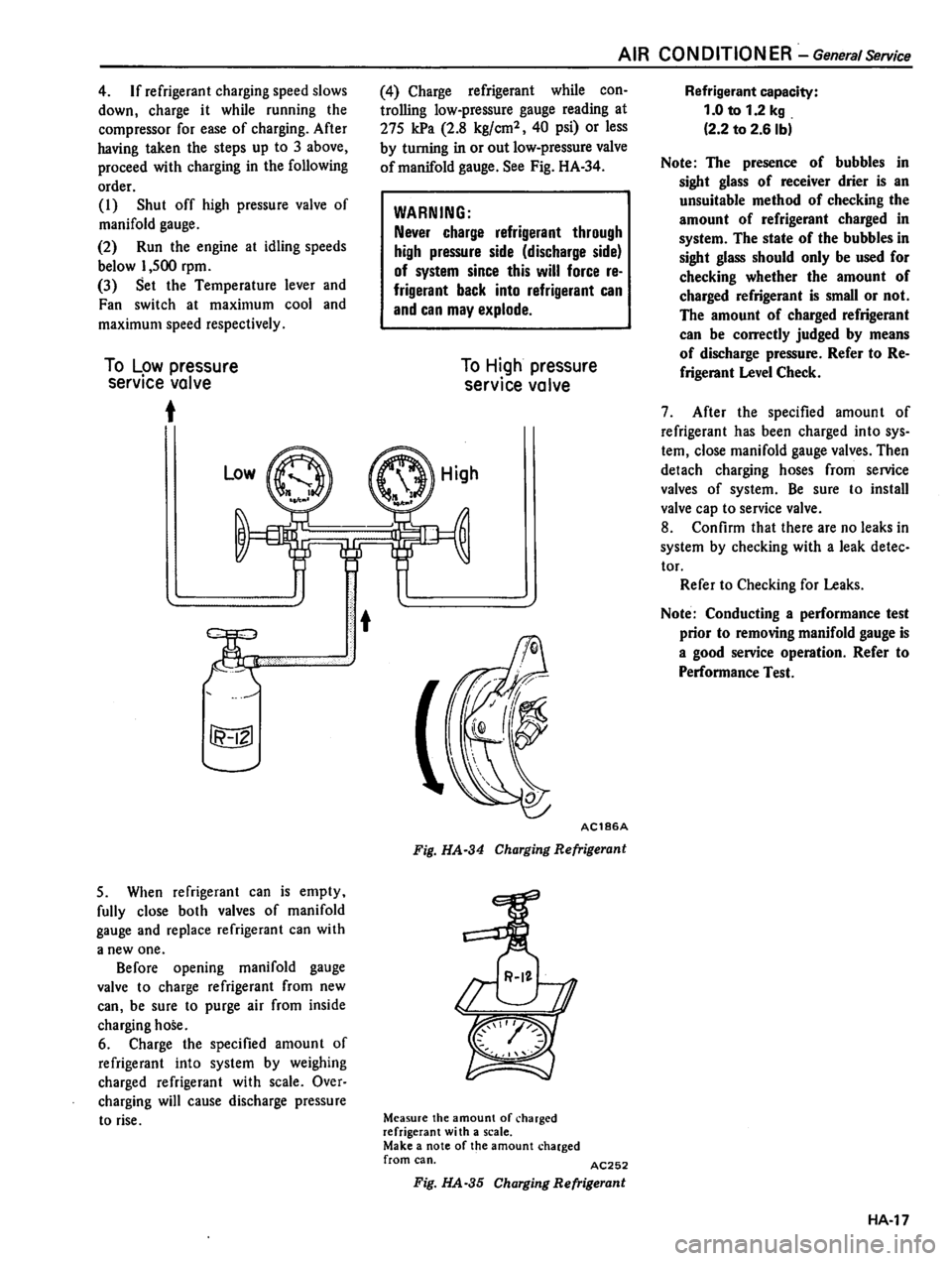DATSUN 310 1981  Service Repair Manual 