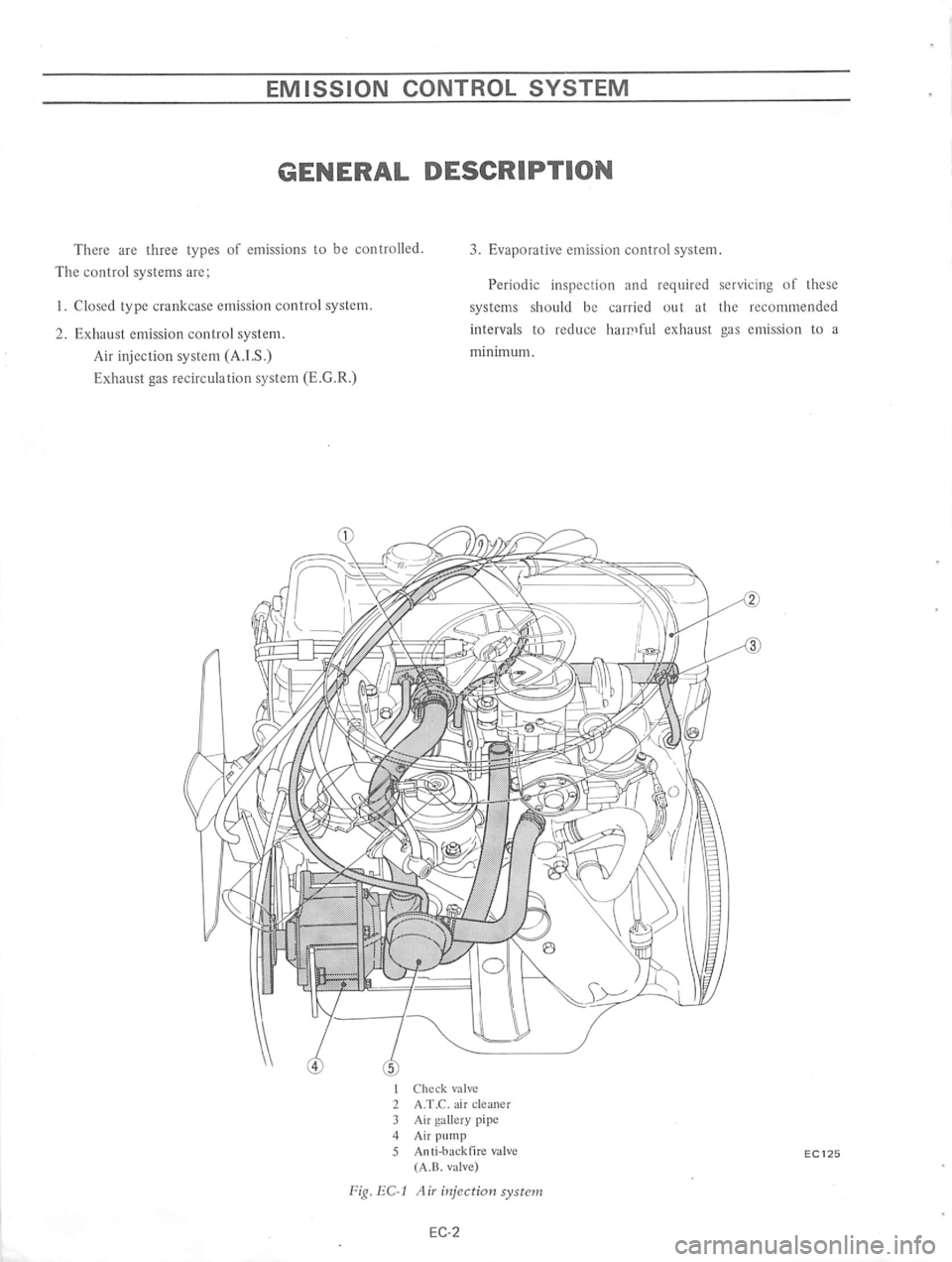DATSUN 610 1974  Service Manual 