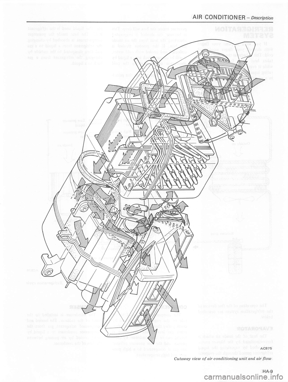 DATSUN 810 1980  Service Manual 