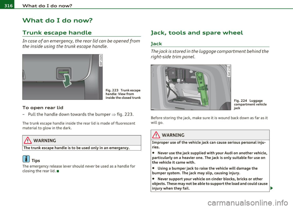 AUDI S6 2010  Owners Manual lffll.,___W_ h_ a_t _ d_ o_ I_d_ o_ n_o _w_ ? ___________________________________________  _ 
What  do  I  do  now? 
Trunk  escape  handle 
In  case  of  an emergency,  the  rear lid can be  opened  f