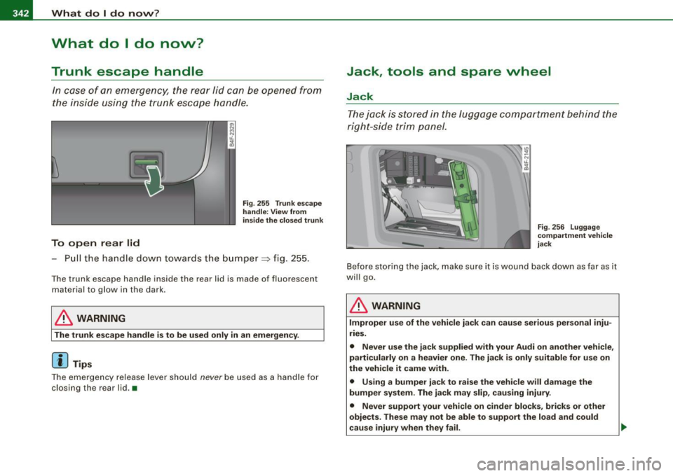 AUDI S6 2009  Owners Manual lllftl.,___W_ h_ a _ t_d_ o_ l _d _o_ n_ o_ vv_ ? ______________________________________________  _ 
What  do  I  do  now? 
Trunk  escape  handle 
In  case  of  an  emergency,  the  rear  lid  can  be