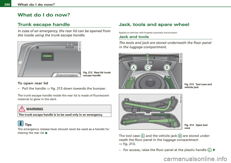 AUDI S4 CABRIOLET 2009  Owners Manual 1111...__W_ h_ a_ t_d_ o_ l _d _o_ n_ o_ vv_ ? ______________________________________________  _ 
What  do I do  now? 
Trunk  escape  handle 
In  case  of  an  emergency,  the  rear  lid  can  be  ope