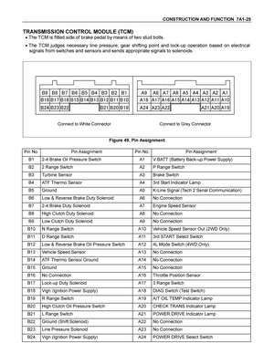 Page 3971