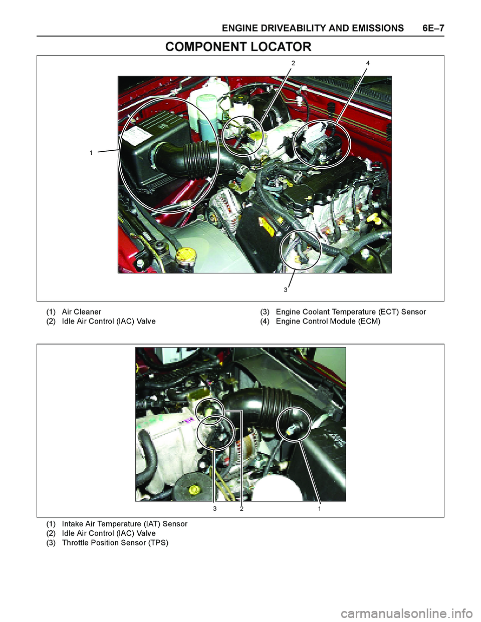 ISUZU TF SERIES 2004  Workshop Manual ENGINE DRIVEABILITY AND EMISSIONS 6E–7
COMPONENT LOCATORt
1 
2 4 
3 
(1)
(2)Air Cleaner
Idle Air Control (IAC) Valve (3)
(4)Engine Coolant Temperature (ECT) Sensor
Engine Control Module (ECM)
3 2  1