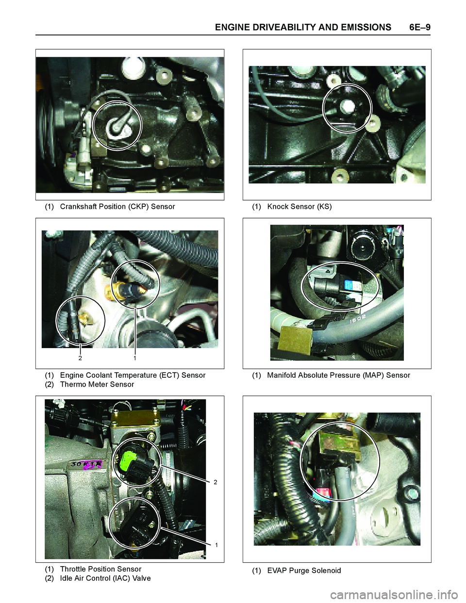 ISUZU TF SERIES 2004  Workshop Manual ENGINE DRIVEABILITY AND EMISSIONS 6E–9
(1) Crankshaft Position (CKP) Sensor(1) Knock Sensor (KS)
(1)
(2)Engine Coolant Temperature (ECT) Sensor
Thermo Meter Sensor
21
(1) Manifold Absolute Pressure 