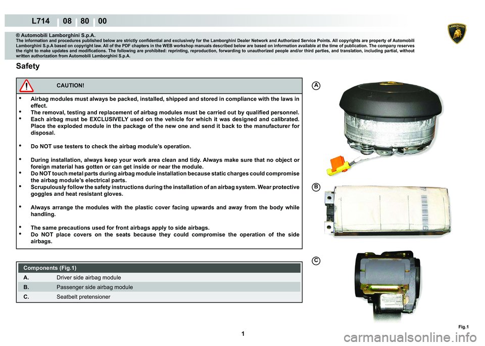 LAMBORGHINI GALLARDO 2009  Workshop Manual  1 
L714      08    80    00
Fig.1
A
B
C
® Automobili Lamborghini S.p.A.
�7�K�H��L�Q�I�R�U�P�D�W�L�R�Q��D�Q�G��S�U�R�F�H�G�X�U�H�V��S�X�E�O�L�V�K�H�G��E�H�O�R�Z��D�U�H��V�W�U�L�F�W�O�\��F�R�Q