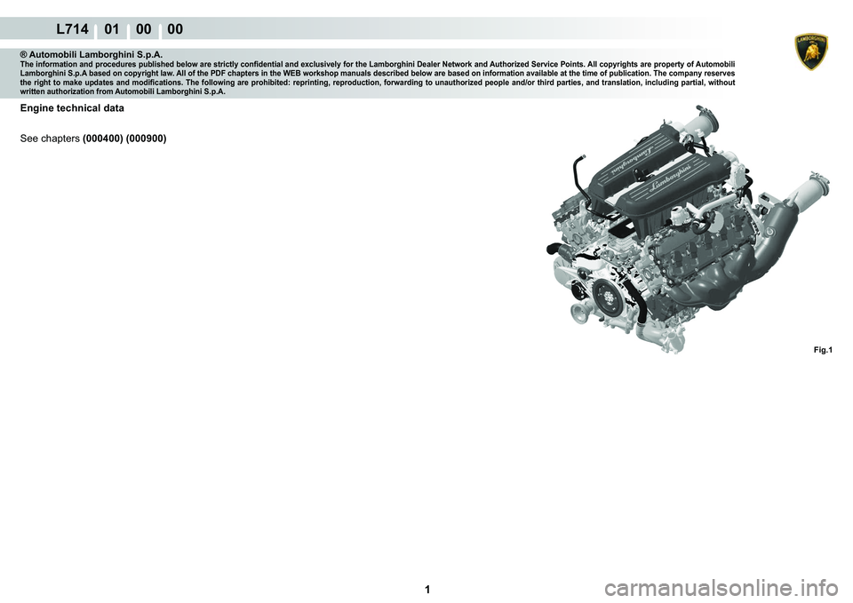 LAMBORGHINI GALLARDO 2009  Workshop Manual  1 
L714    01    00    00
Fig.1
® Automobili Lamborghini S.p.A.�7�K�H��L�Q�I�R�U�P�D�W�L�R�Q��D�Q�G��S�U�R�F�H�G�X�U�H�V��S�X�E�O�L�V�K�H�G��E�H�O�R�Z��D�U�H��V�W�U�L�F�W�O�\��F�R�Q�¿�G�H�Q