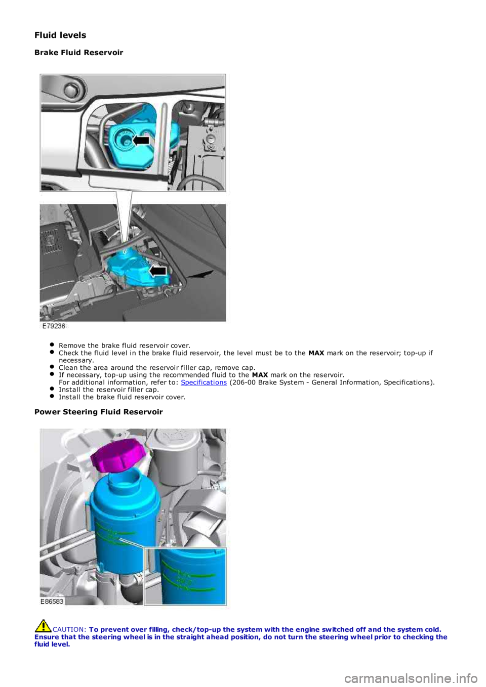 LAND ROVER FRELANDER 2 2006  Repair Manual Fluid levels
Brake Fluid  Reservoir
Remove the brake fl uid reservoi r cover.Check t he fluid level i n t he brake fluid res ervoir, the l evel  mus t  be t o t he MAX mark on the reservoi r; t op-up 