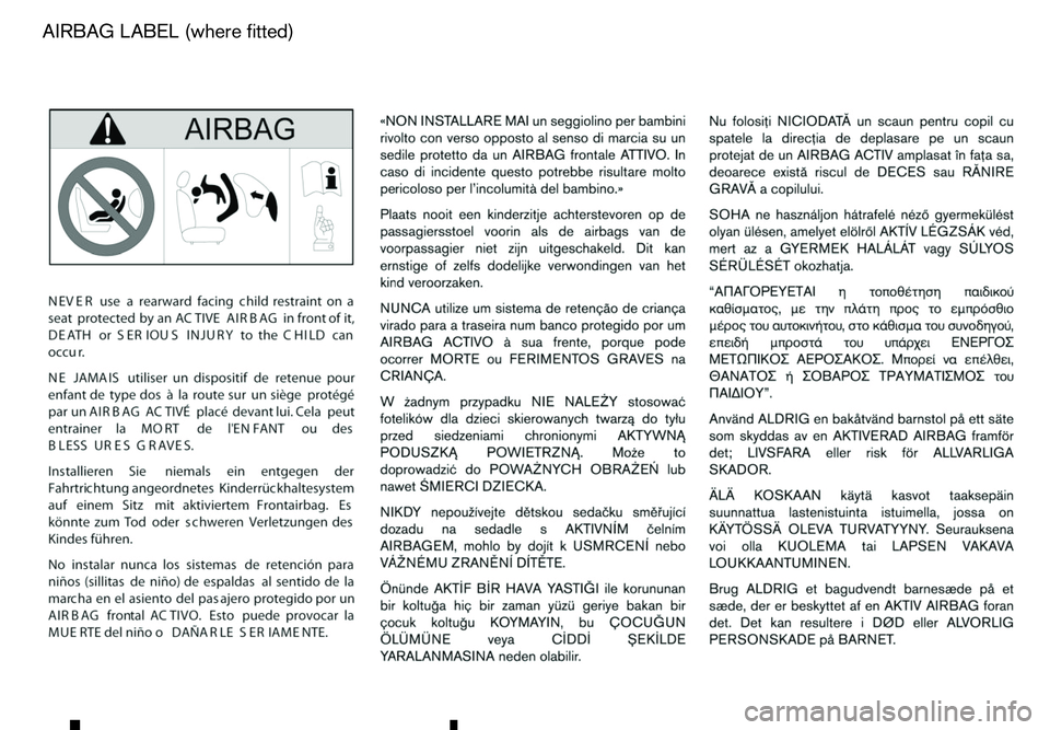RENAULT ALASKAN 2017  Owners Manual mAIRBAG
 LABEL (where fitted)  