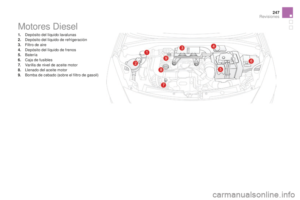 CITROEN DS3 2017  Manuales de Empleo (in Spanish) 247
DS3_es_Chap09_verifications_ed02-2015
Motores Diesel
1. Depósito del líquido lavalunas
2. Depósito del líquido de refrigeración
3.
 F

iltro de aire
4.
 D

epósito del líquido de frenos
5.
