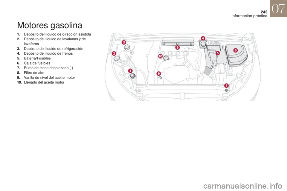 CITROEN DS4 2017  Manuales de Empleo (in Spanish) 243
DS4_es_Chap07_info-pratiques_ed01-2016
Motores gasolina
1. Depósito del líquido de dirección asistida
2. Depósito del líquido de lavalunas y de 
lavafaros
3.
 D

epósito del líquido de refr
